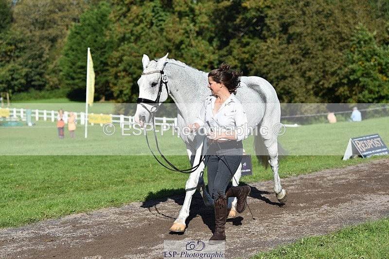 231022-110730-23740 - 437-DONBEG.GREY-Hannah.Underhill-TrotUp+SJ