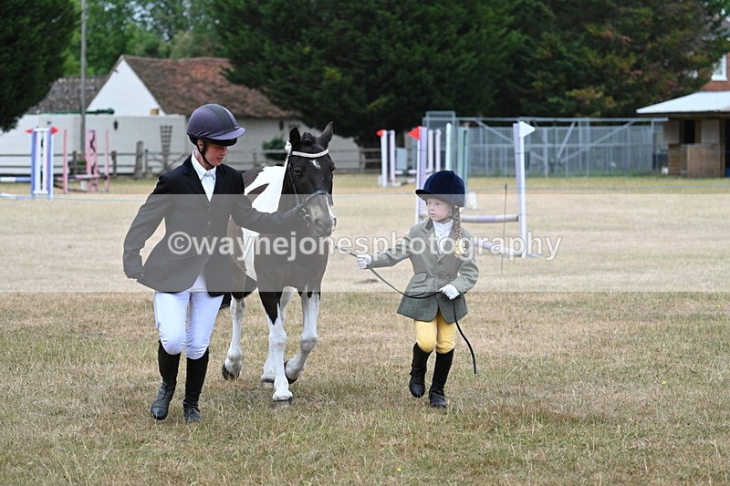 WJ7_9572 - Class 5 Most Handsome Gelding (up to 14.2hh)