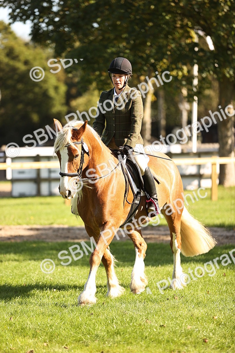 SBM_16955 - S2 - TSR Ridden Pony Showing