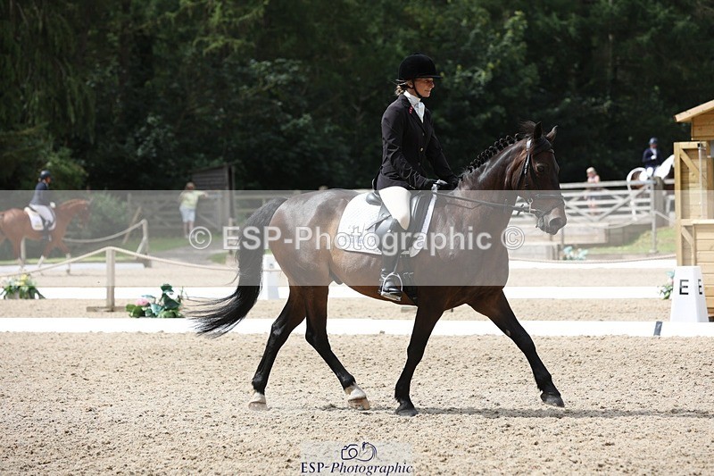 230812-121950-03981 - Cls 5 Novice Bronze 11.15 to 12.50 break