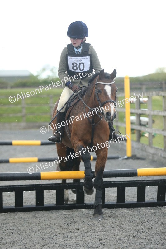 20260412-1907 - Show Jumping