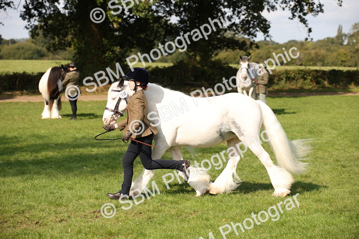 SBM_62240 - S55 - Traditional Cob In Hand