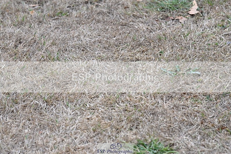 250820A-180856-12555 - Wednesday Presentations