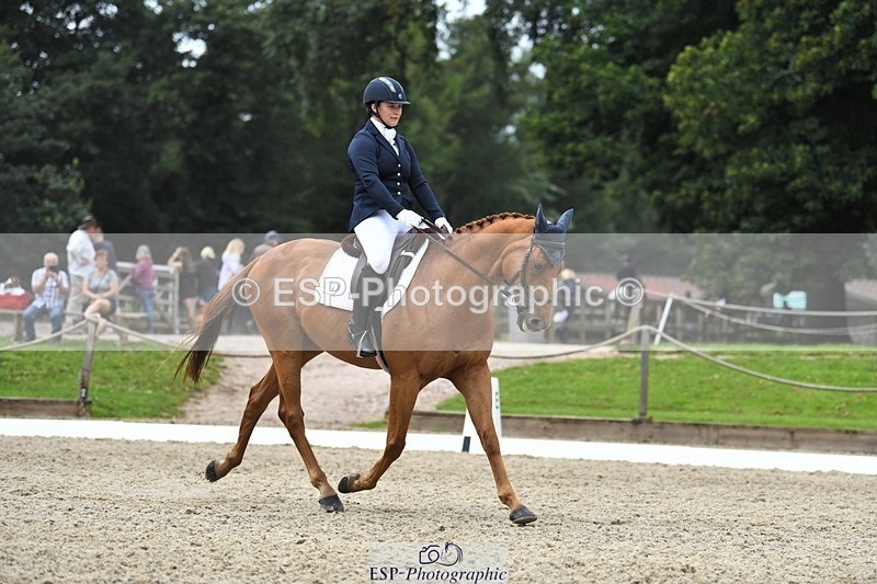 230812-122713-04120 - Cls 6 Novice Silver 12.10 to End