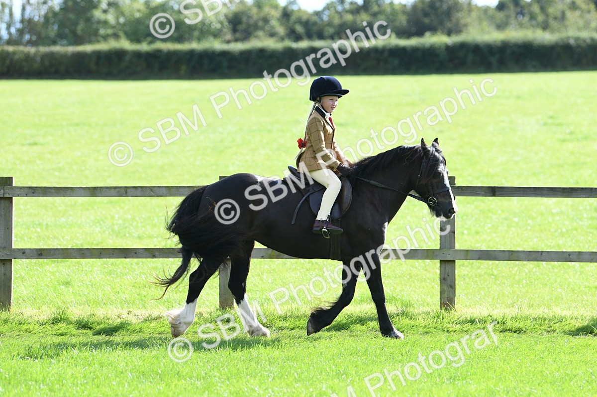 SBM_50270 - S21 - Novice & Newcomers 1st Ridden Pony
