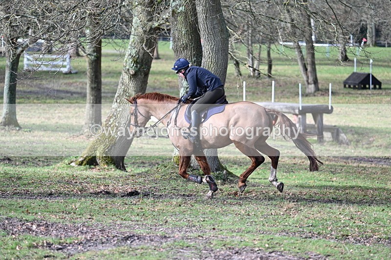 WJ7_8564 - Time 11:41 to 12:16