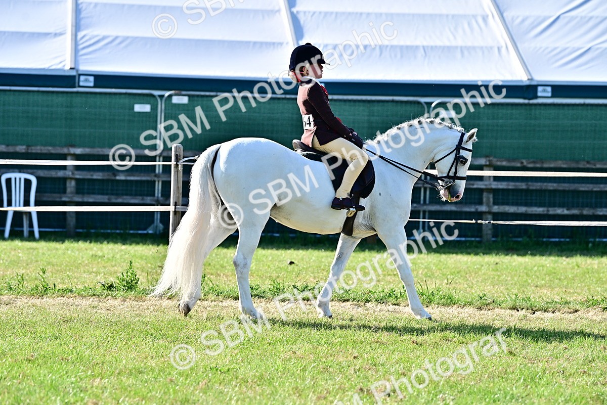 SBM_19908 - Class 103 - 105 - TSR Ridden Amateur of the Year Plaited Ponies