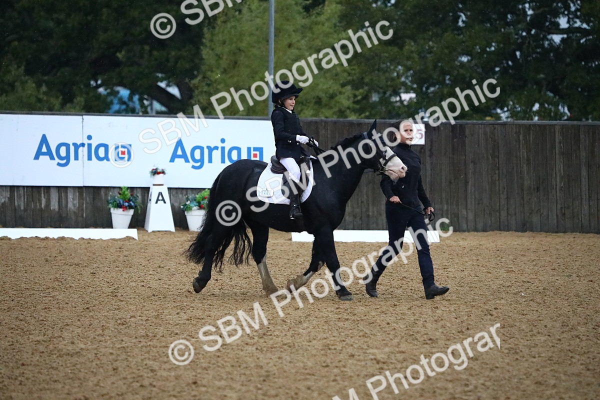 SBM_34657 - D26 - Starters Lead Rein