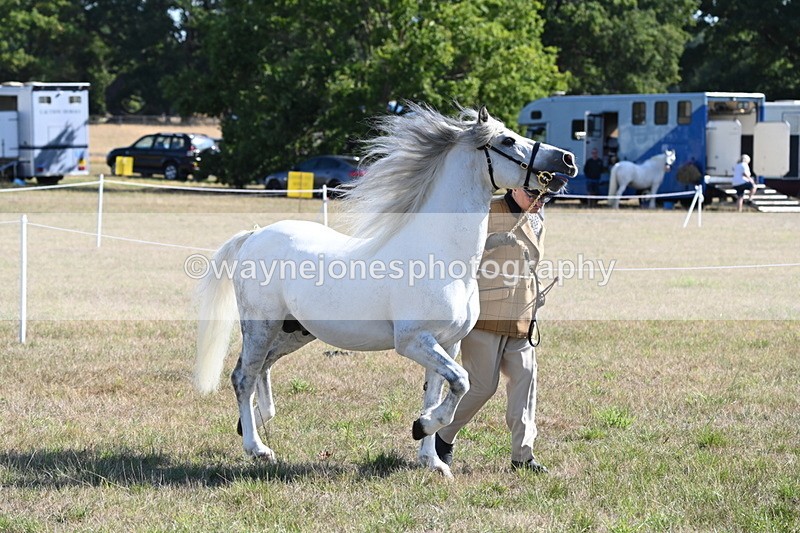WJ6_4219 - Class 16 Condition & Turn Out