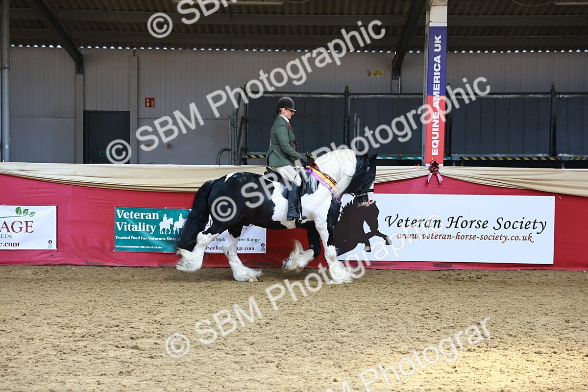SBM_12813 - HOYS Veteran Qualifier - Ridden Champ