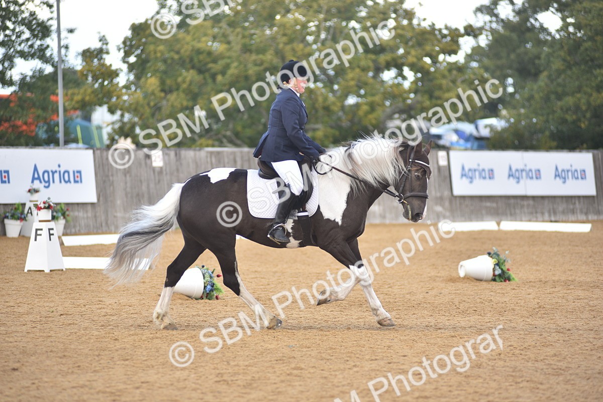SBM_22397 - D13 - Grand Tour Championship Prelim 3