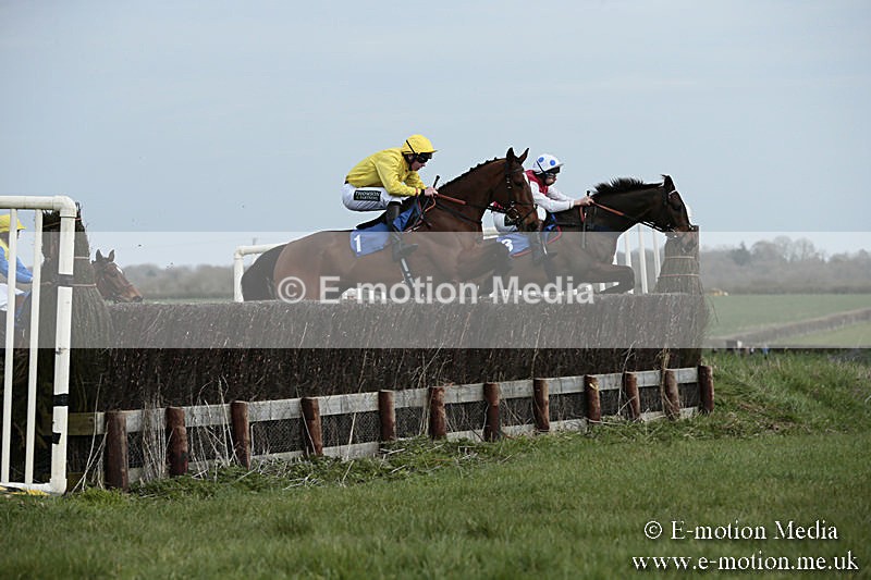 PtP 230319 14 - VWH Hunt Siddington Point-to-Point Racing 23/03/19