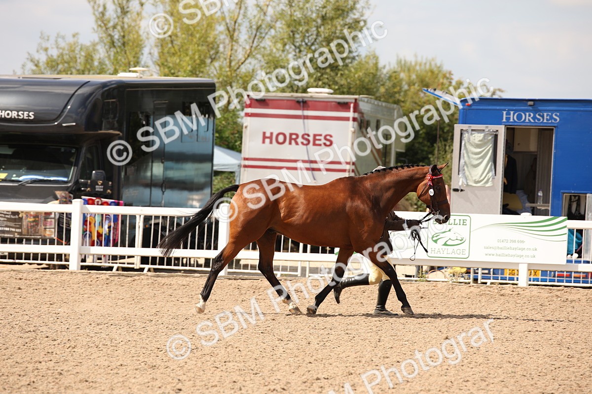 SBM_04575 - Class 20 IH Veteran