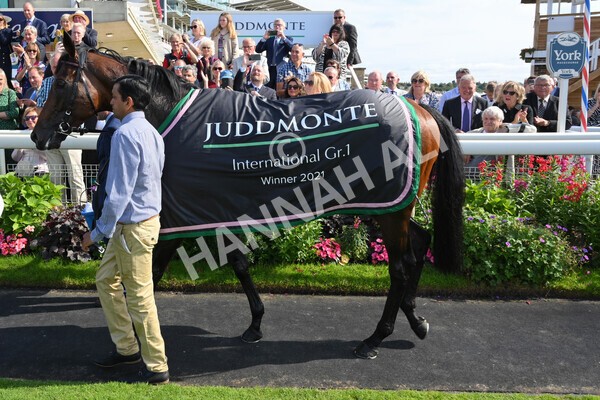 yr18082021r4-180 - Race 4 3.35pm Juddmonte International Stakes (British Champion Series race)