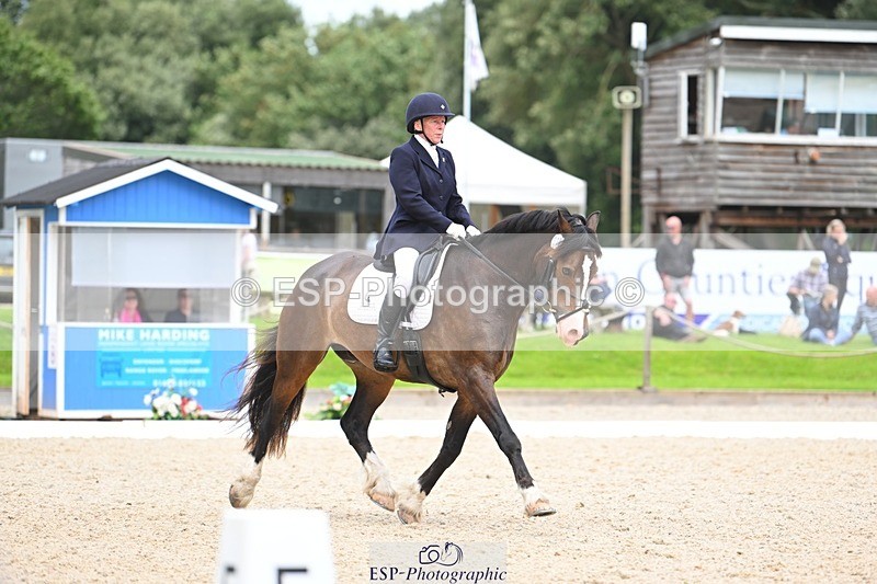 230813-140451-07668 - Cls 13 Medium Bronze 13.15 to End