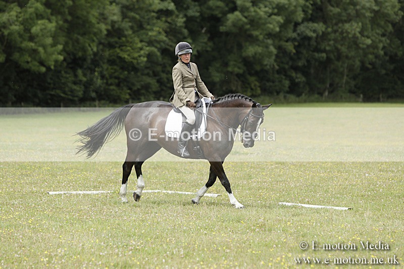 BVR160717-2078 - Class 4 & 5 Dressage 16/07/17