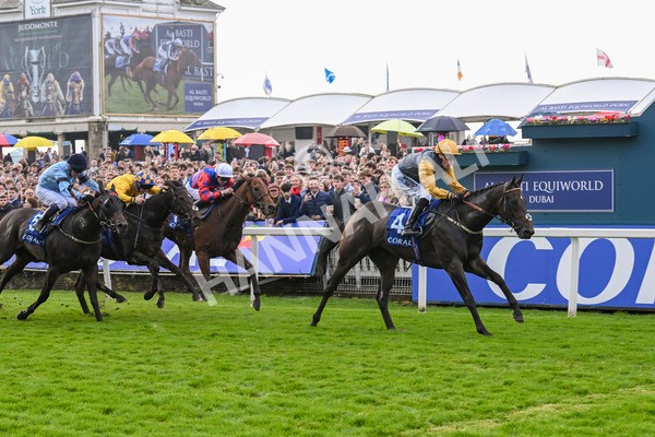 121024-Race 1-Jungle Drums-2573 - Race 1 1.30pm Coral Rockingham Stakes