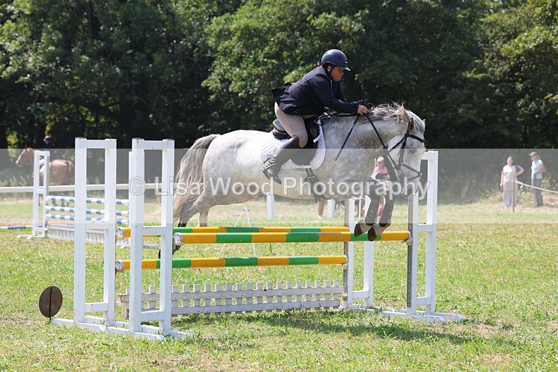 3E7A2935 - Class 7: Senior British Novice/90cm open