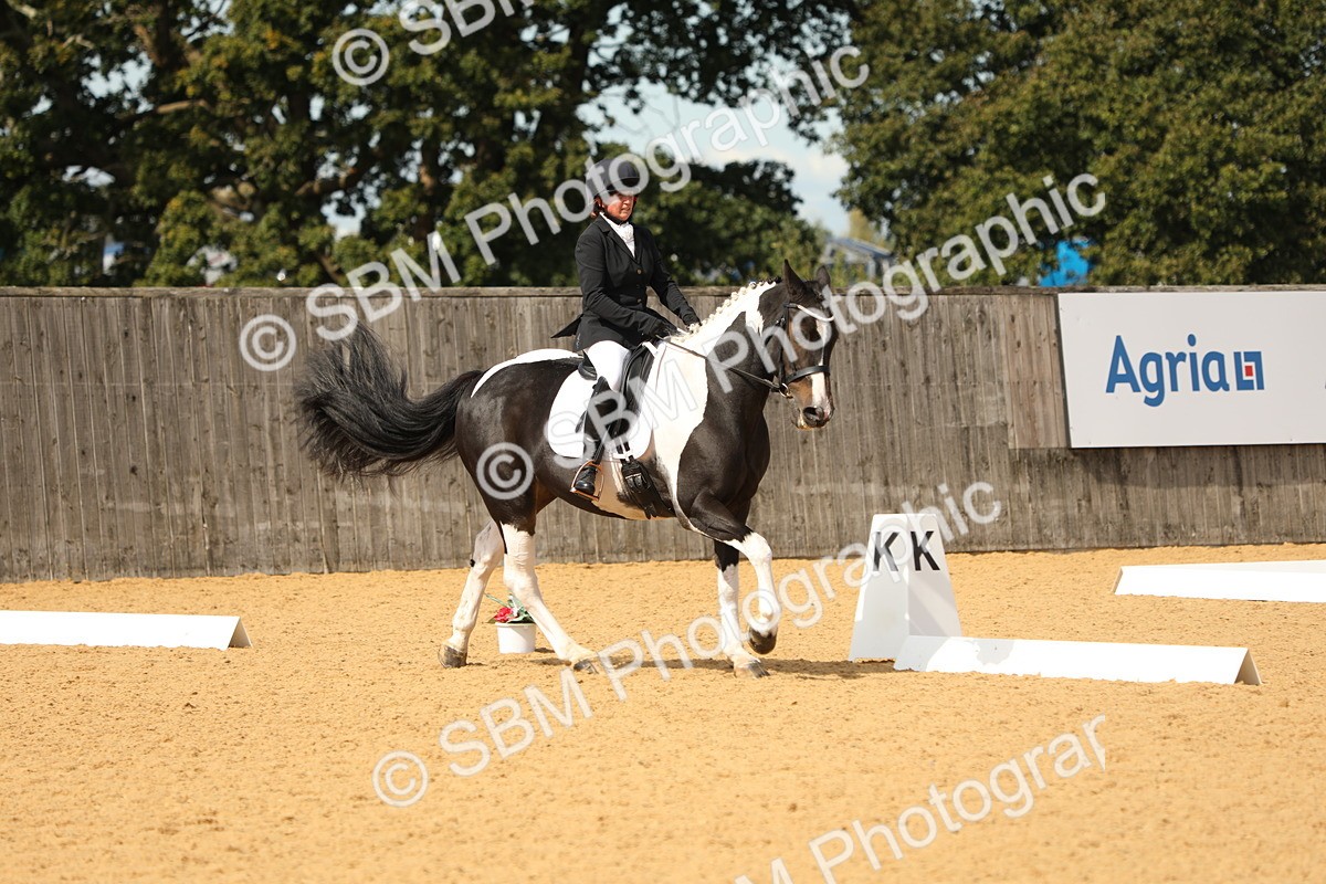 SBM_22197 - D17 - Grand Tour Championship - Novice 27