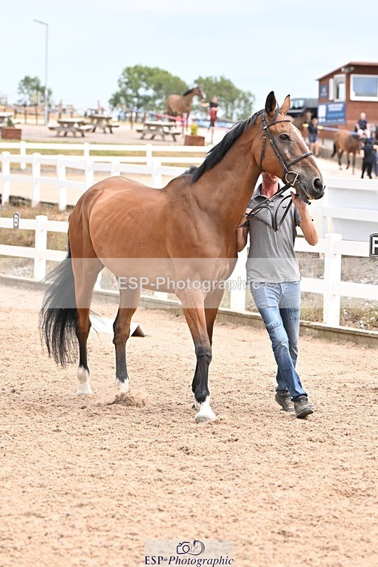 250716-144948-01443 - Trot Up 2.30 to 3.30