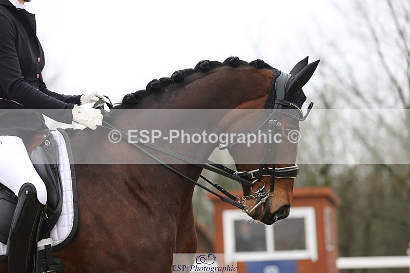 240217A-112534-01779 - 268-Jess.Ralton-Newton.Galactica