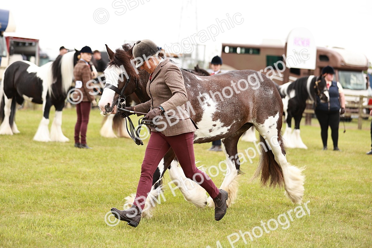 SBM_04682 - Class 5-8 - BSPA In hand