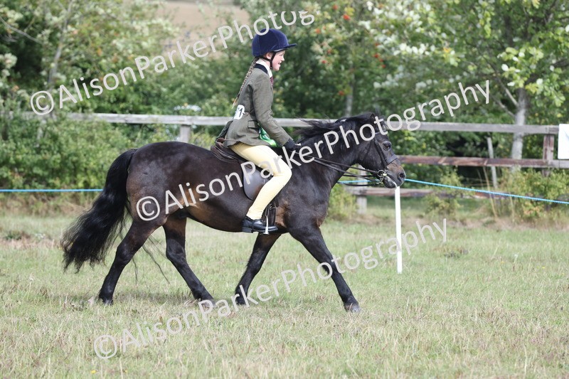 20250831-1288 - Class 15 - Ridden Veteran