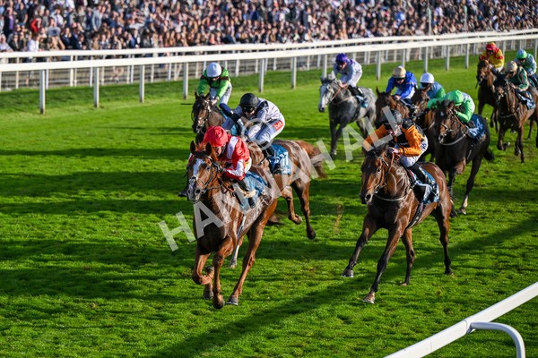 111025-Race 6-Berkshire Sundance-9031 - Race 6 Coral Racing Club Stayers Handicap at York