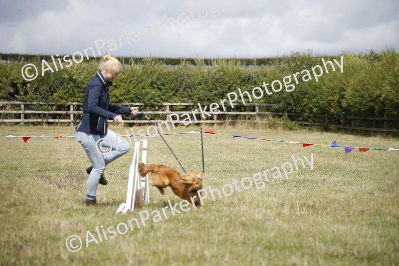 20250831-3890 - Dog Show