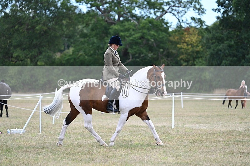 WJ7_5159 - Class 12 Ridden Cob
