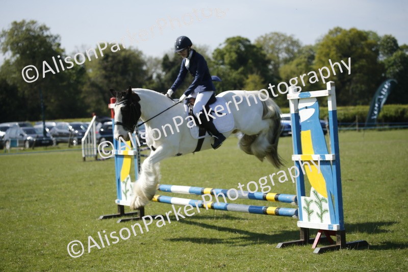 20250427-2011 - Class 13 - Novice Jumping 60cm