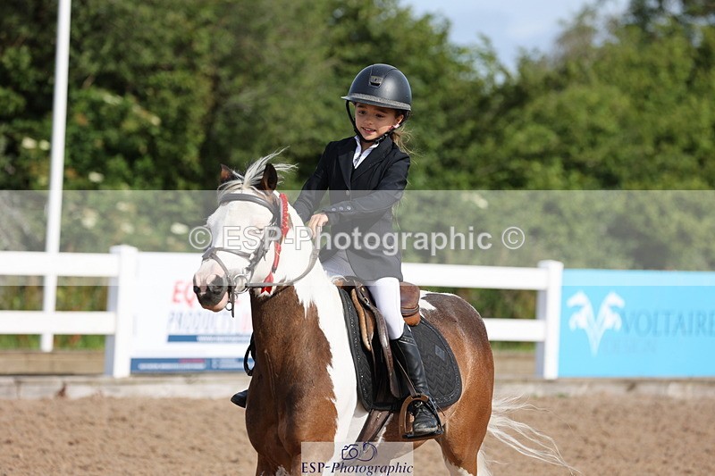 240629A-091916-02912 - Cls 16 British Novice and 80cm Open