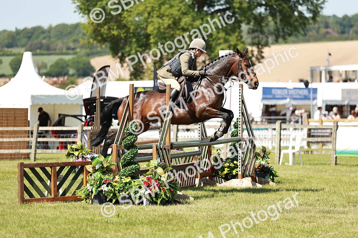 SBM_18344 - Class 112-113 - BSPS LIHS Working Sports Pony