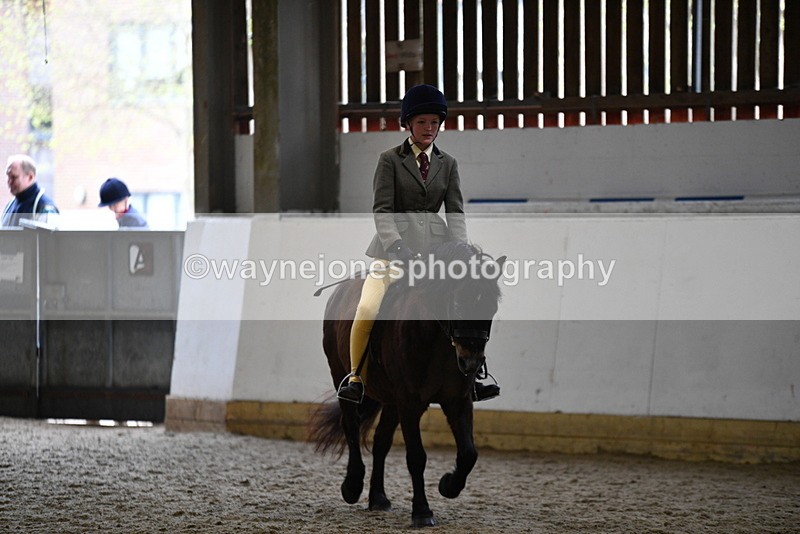WJ5_6914 - Class 10 Childs Pony