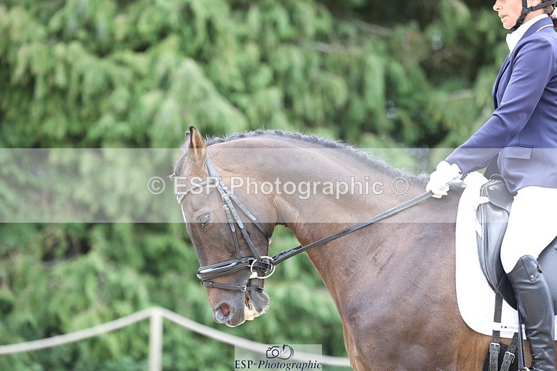 230813-150314-07946 - Cls 11 Elem Bronze 14.30 to End