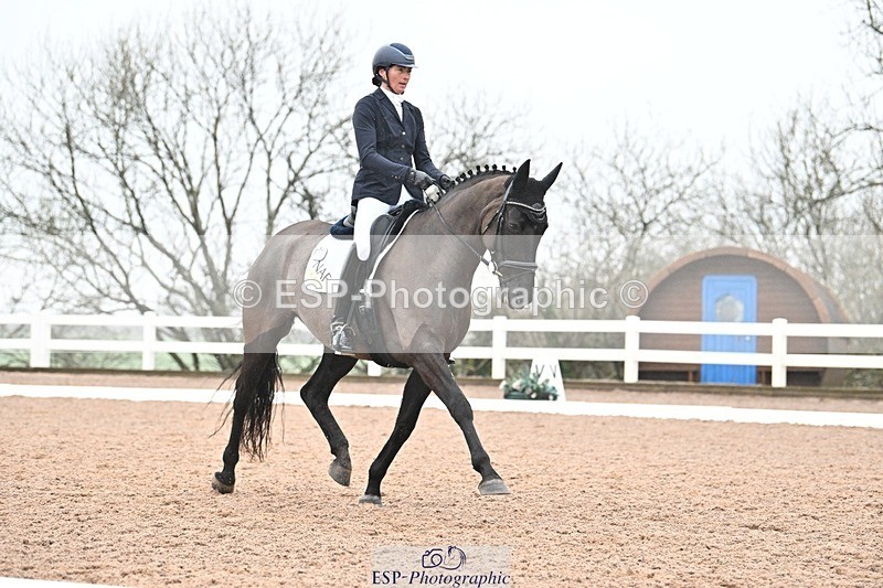 250215-115753-03302 - 165-Elder.Klatzko-Dynasty.Hit