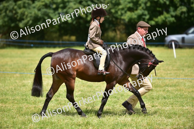 20260614-1376 - Class 11b - Lead Rein Pony (Plaited)