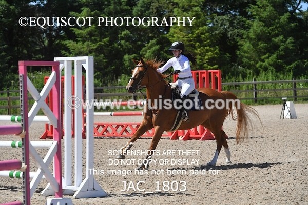 JAC_1803 - CLASS 5  Senior Newcomers/ 1.10m Open