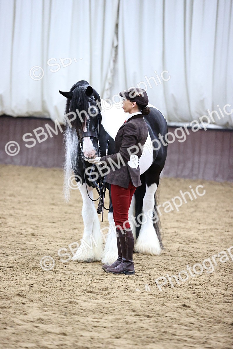 SBM_5675 - Class 40 - RESS In Hand Qualifier