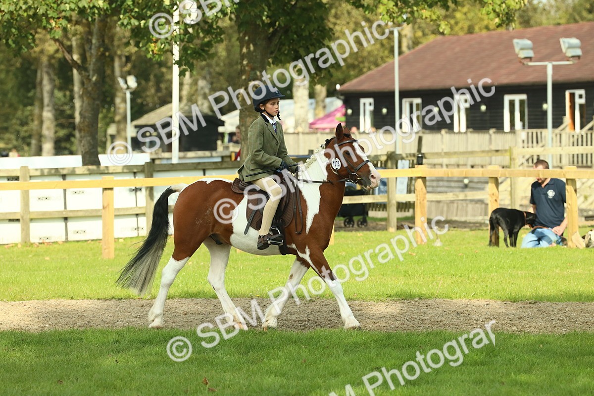 SBM_68927 - S58 - Mini Show Cob Ridden