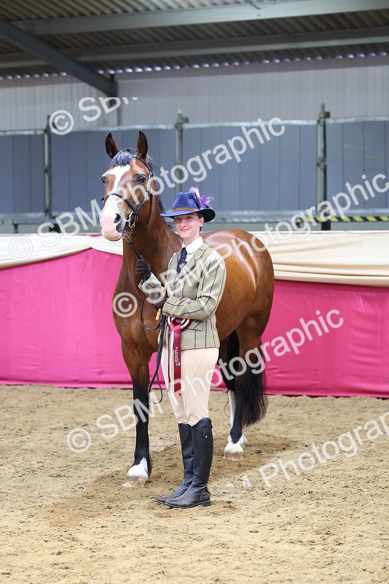 SBM_22979 - Class 903 - Supreme Final - IH Pre Vet