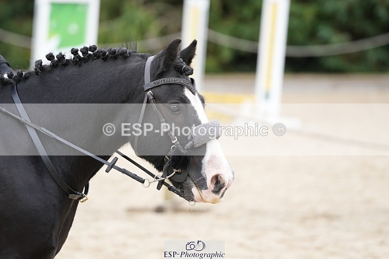 250820A-103529-02389 - Round 2, 9.45 to 10.45 Break