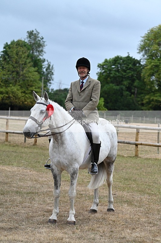 WJ7_0977 - Class 7 Riding Club Show Horse