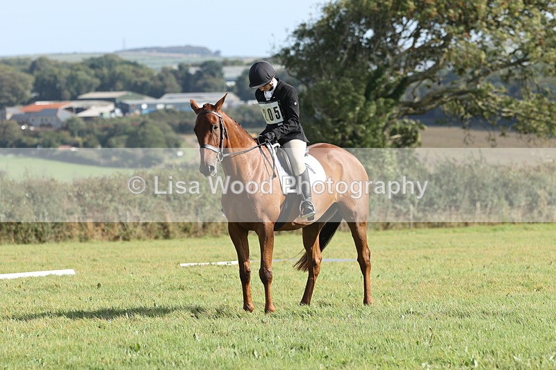 JPP_8052 - Class 2A: Trekenning Open: Dressage