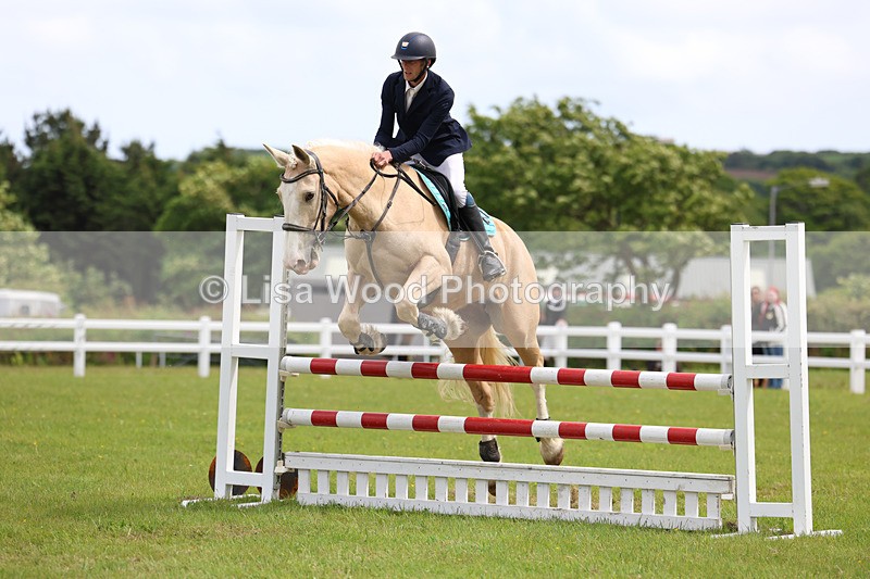 3E7A7721 - Class 13: Senior British Novice/90cm open