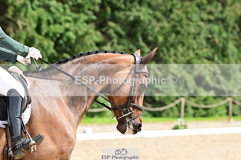 260528A-152615-04268 - C-318-Susie.Berry