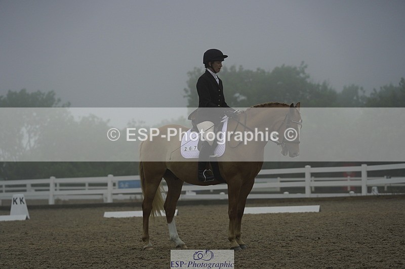 230708A-150312-03976 - Prelim 18