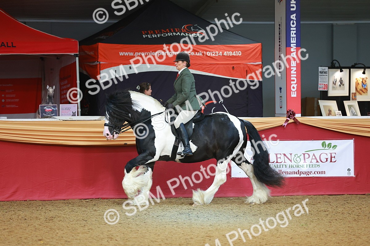 SBM_09466 - Class 102 - HOYS Veteran Qualifier - Ridden Veteran