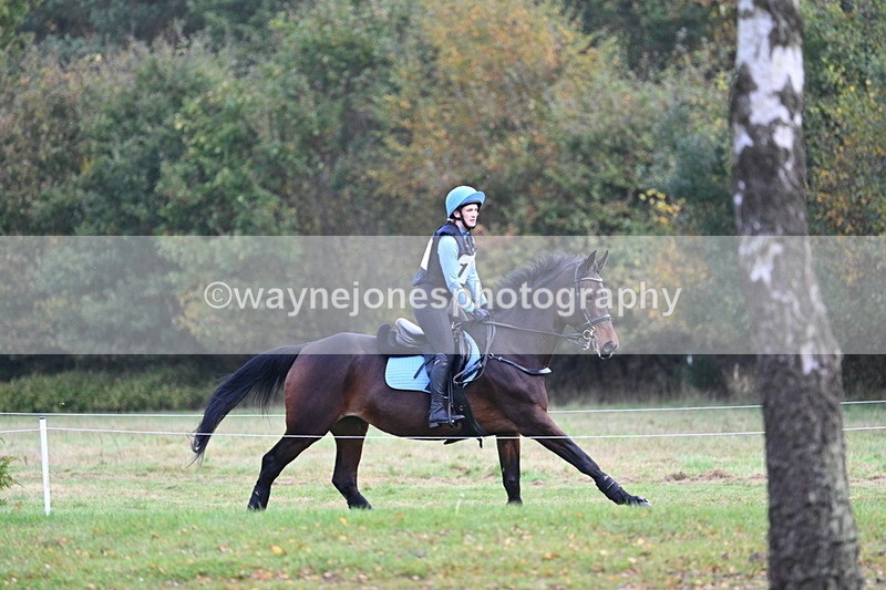 WJ7_0405 - 80cm Cam 2 Water Time 10:45 to 11:06