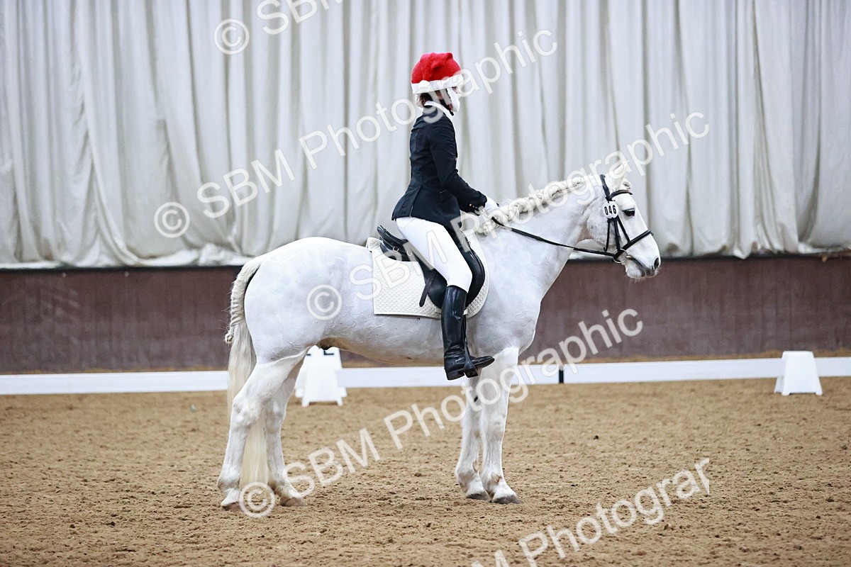 SBM_001145 - Class 7-10 - Novice 1 - Elementary 1